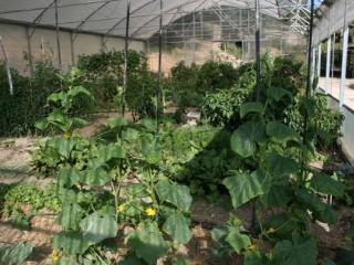 Villa Ferraia 몬티시아노 외부 사진